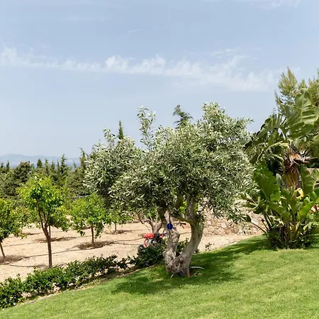 Celeste Sea View With Jacuzzi And Bbq بساليدي